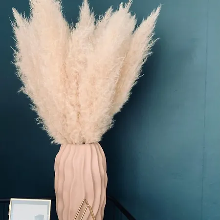 L'olivier #terrasse #confort * 克莱蒙费朗