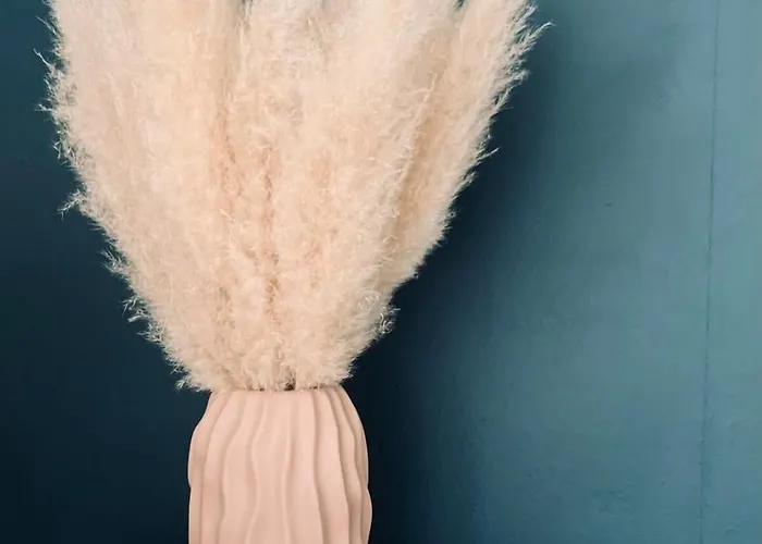 L'olivier #terrasse #confort * 克莱蒙费朗